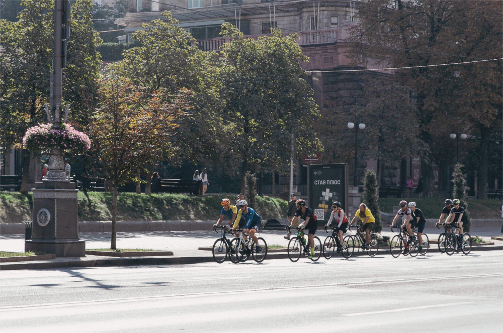 4462 image for slide