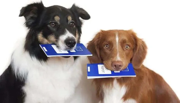 4776 image for slide