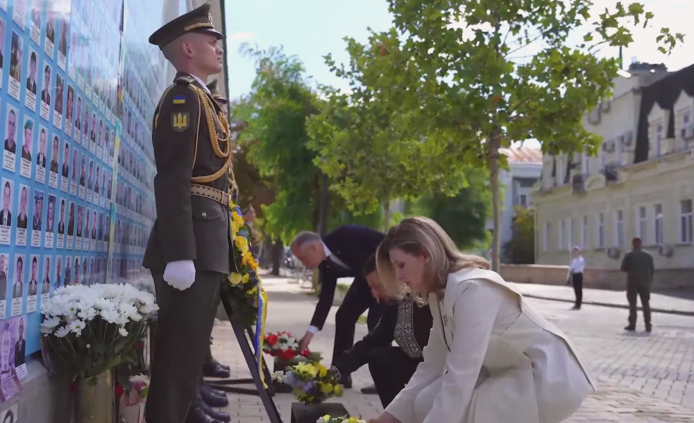 7393 image for slide