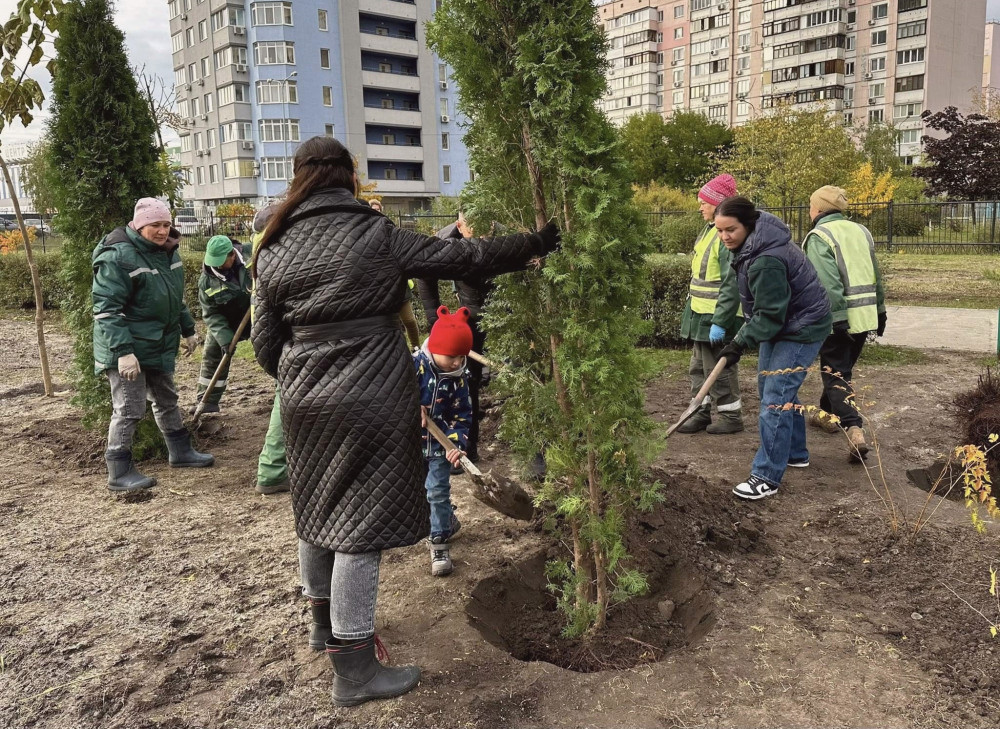 8775 image for slide