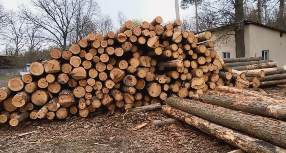 9096 image for slide