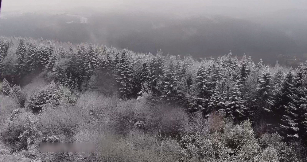 9396 image for slide