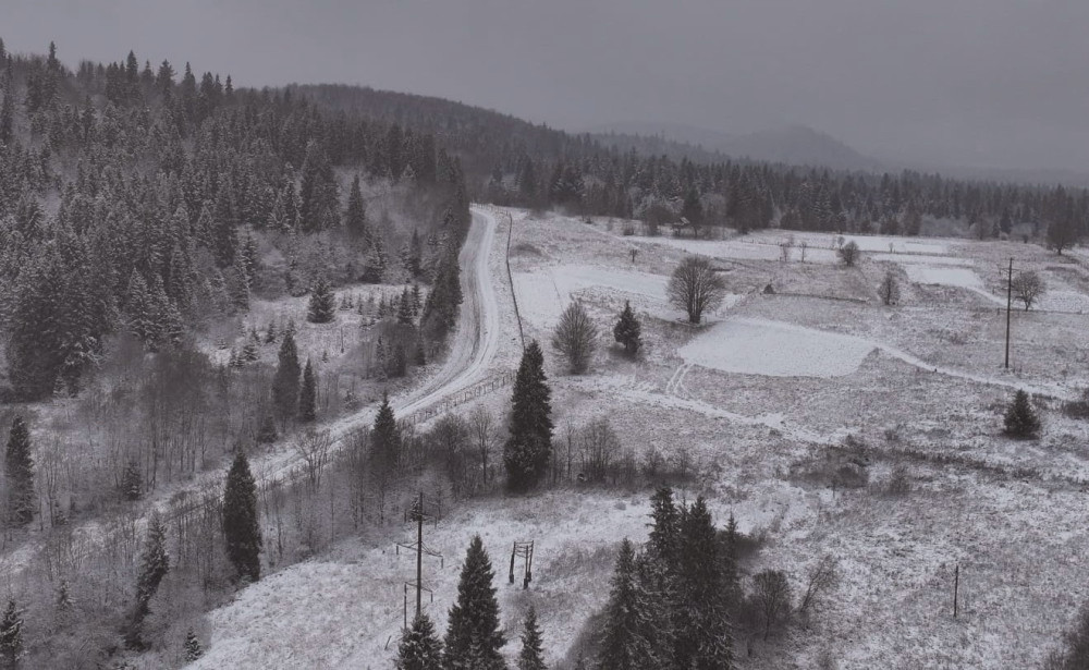 9398 image for slide